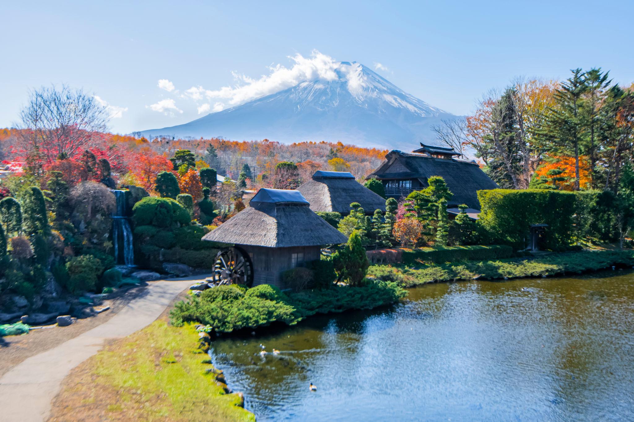 Mt. Fuji Essential Day Tour from Tokyo