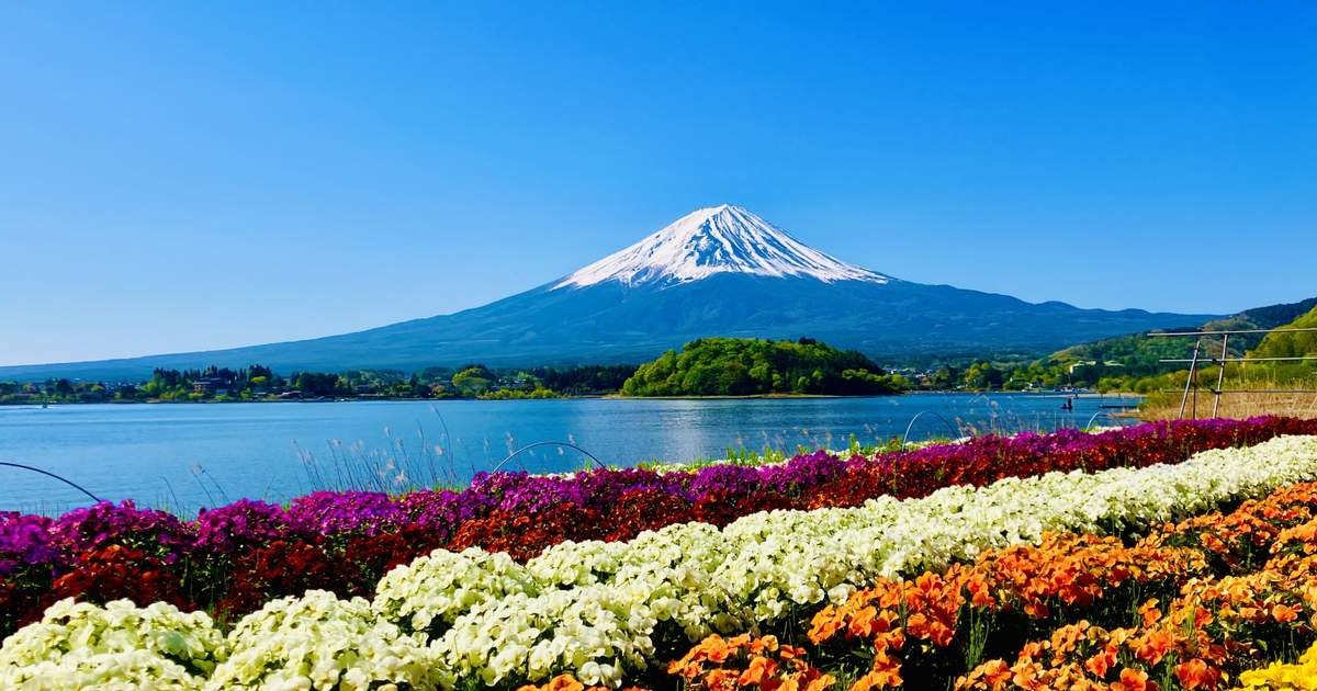 Mt. Fuji Essential Day Tour from Tokyo