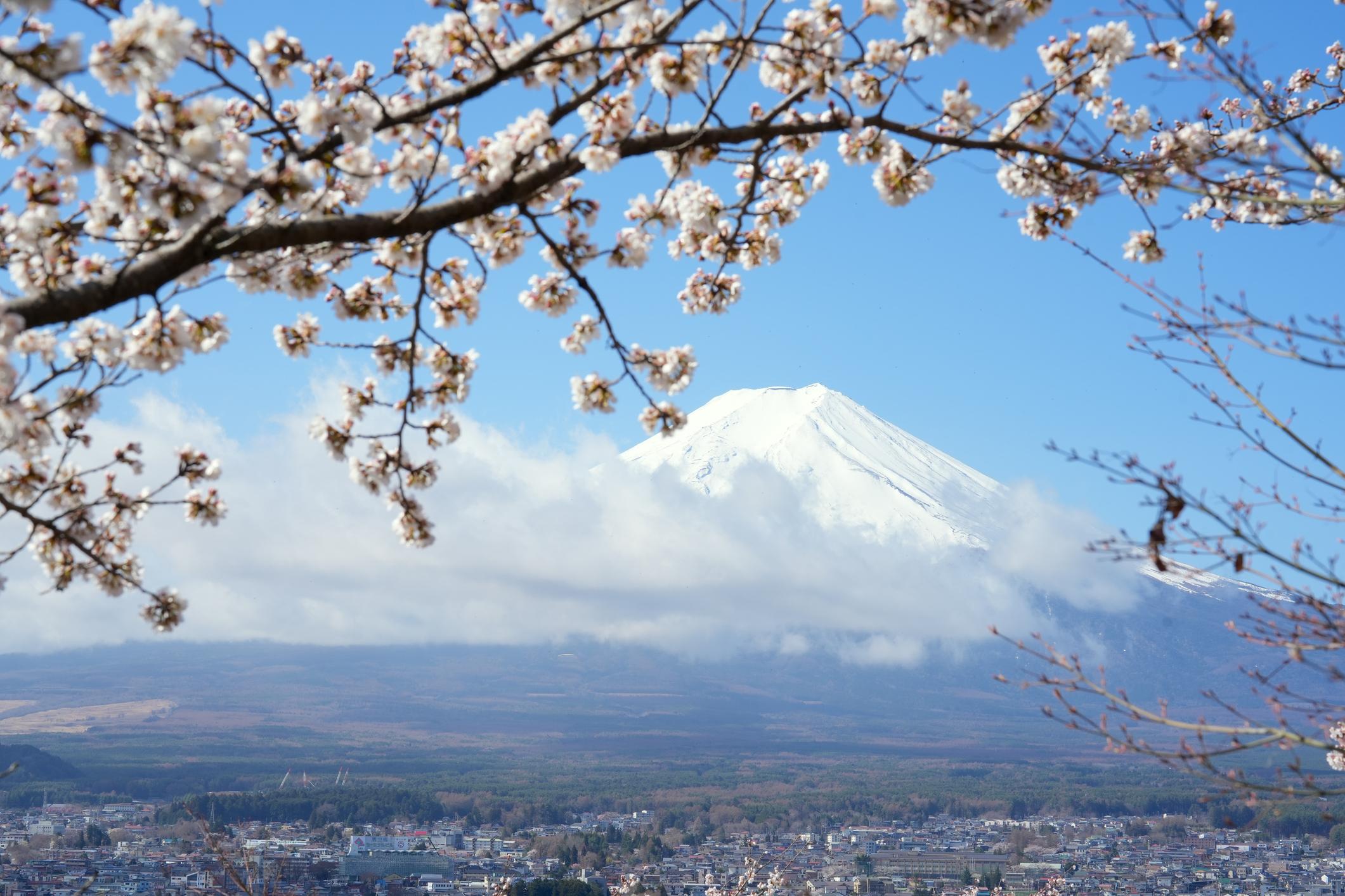 Mt. Fuji Essential Day Tour from Tokyo