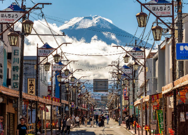 Mt. Fuji Essential Day Tour from Tokyo