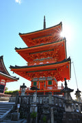 Kyoto Day Tour from Osaka | Fushimi Inari & Nara Park