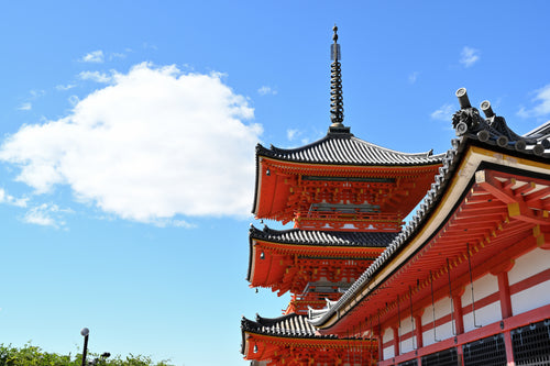 Kyoto Day Tour from Osaka | Fushimi Inari & Nara Park