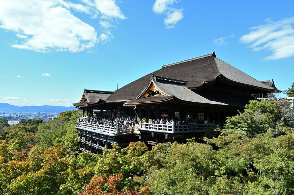 Kyoto Day Tour from Osaka | Fushimi Inari & Nara Park