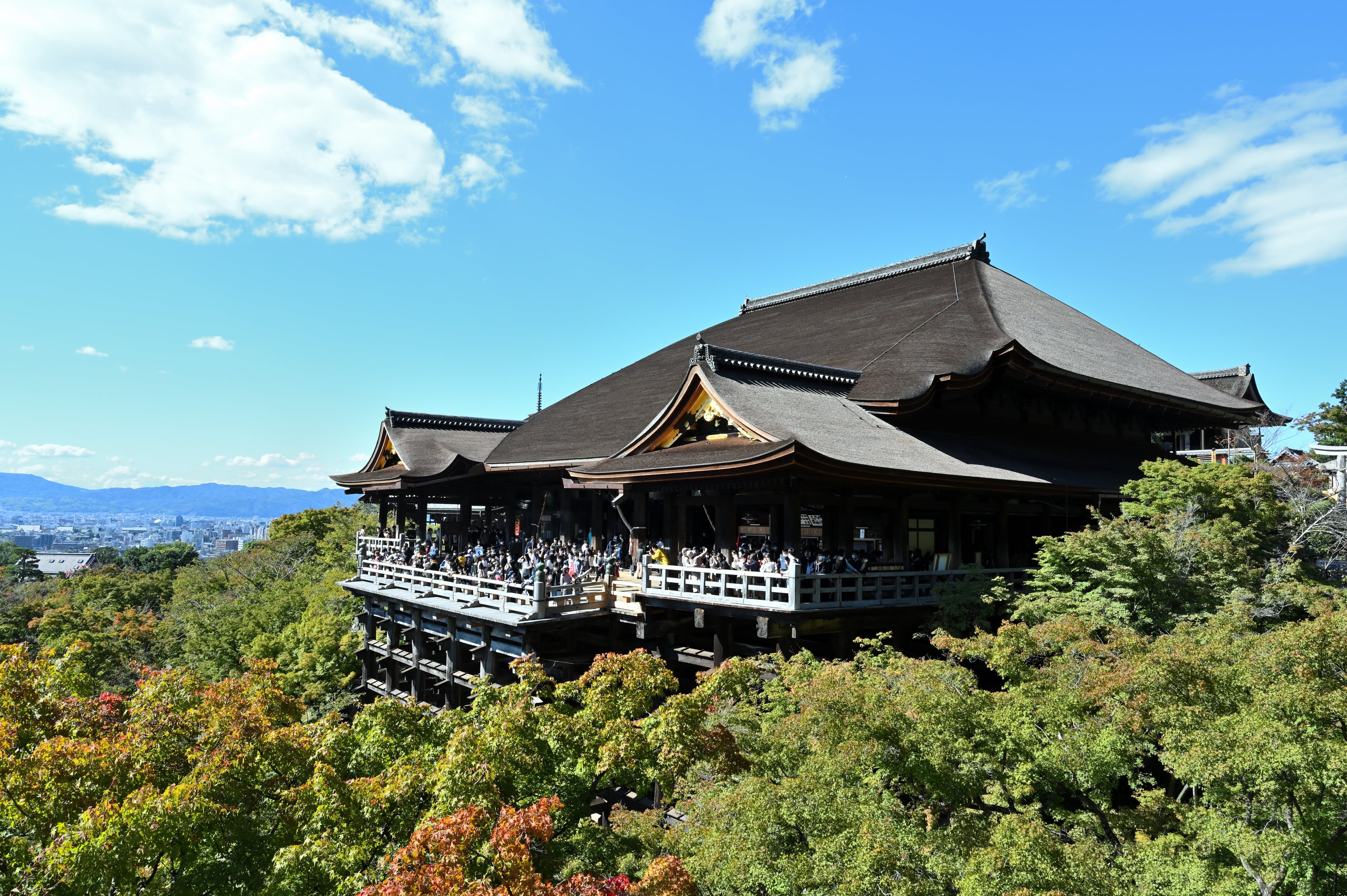Kyoto Day Tour from Osaka | Fushimi Inari & Nara Park